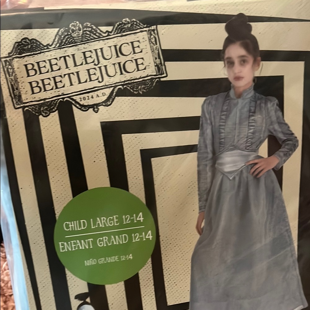 Beetlejuice Astrid Kids Costume - Gray